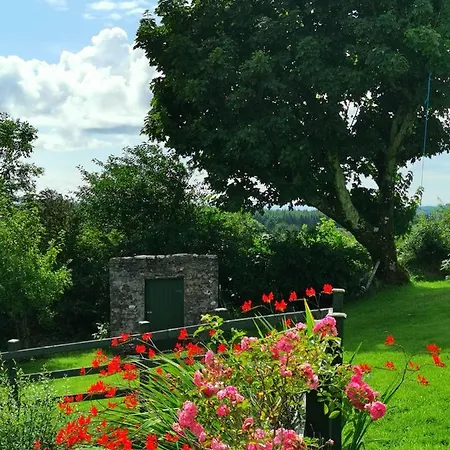 Σπίτι διακοπών New Listing - Ladybird - Donegal - Wild Atlantic Way *