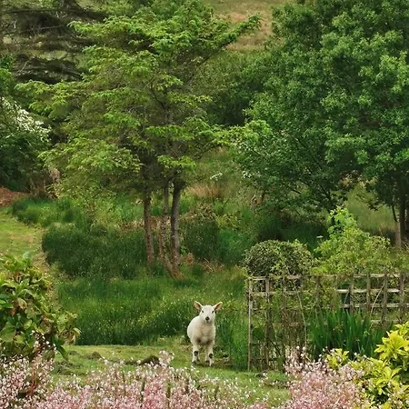 New Listing - Ladybird - Donegal - Wild Atlantic Way Ντόνεγκαλ