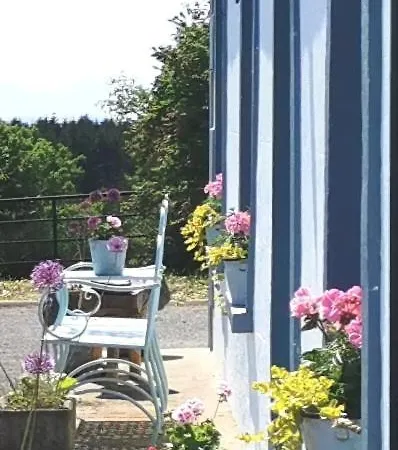 New Listing - Ladybird - Donegal - Wild Atlantic Way Ferienhaus