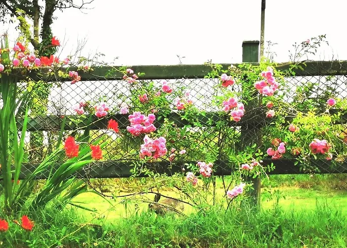 New Listing - Ladybird - Donegal - Wild Atlantic Way Donegal Town