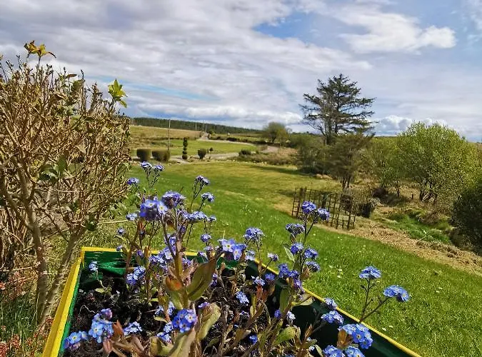 New Listing - Ladybird - Donegal - Wild Atlantic Way