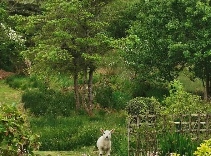 New Listing - Ladybird - Donegal - Wild Atlantic Way Donegal Town